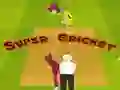 Spel Super Krieket aanlyn Spel Super Krieket aanlyn