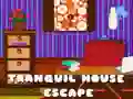 Spel Ontsnapping uit die Stille Huis aanlyn Spel Ontsnapping uit die Stille Huis aanlyn