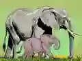Spel Wilde Dieren en Hul Babas aanlyn Spel Wilde Dieren en Hul Babas aanlyn
