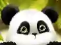 Spel Panda Gly aanlyn Spel Panda Gly aanlyn