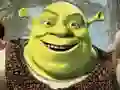 Spel Shrek Jigsaw Puzzel Versameling aanlyn Spel Shrek Jigsaw Puzzel Versameling aanlyn