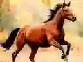 Spel Perd kon aanlyn Spel Perd kon aanlyn