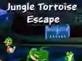 Spel Jungle Skilpad Ontsnapping aanlyn Spel Jungle Skilpad Ontsnapping aanlyn