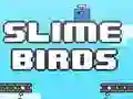 Spel Slime Voëls aanlyn Spel Slime Voëls aanlyn