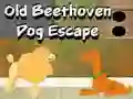 Spel Ou Beethoven Hond Ontsnapping aanlyn Spel Ou Beethoven Hond Ontsnapping aanlyn