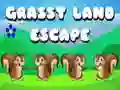 Spel Ontsnapping uit Grasperk Land aanlyn