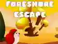 Spel Ontsnapping vanaf die kus aanlyn Spel Ontsnapping vanaf die kus aanlyn