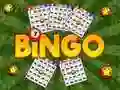Spel Bingo Onthul aanlyn Spel Bingo Onthul aanlyn