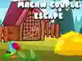 Spel Macaw Paar Ontvlugting aanlyn Spel Macaw Paar Ontvlugting aanlyn