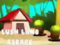 Spel Ontsnapping uit die Weelderige Land aanlyn Spel Ontsnapping uit die Weelderige Land aanlyn