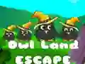 Spel Ontsnapping uit Uil Land aanlyn Spel Ontsnapping uit Uil Land aanlyn