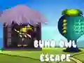 Spel Buho Uil Ontsnapping aanlyn Spel Buho Uil Ontsnapping aanlyn
