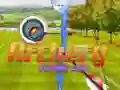 Spel Boogskietkoning 3D aanlyn Spel Boogskietkoning 3D aanlyn