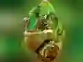 Spel Kameleon Legpuzzel aanlyn