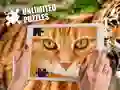 Spel Onbeperkte Legkaarte aanlyn Spel Onbeperkte Legkaarte aanlyn