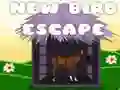 Spel Perdoolingperd aanlyn Spel Perdoolingperd aanlyn