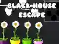 Spel Ontsnap uit die Swart Huis aanlyn Spel Ontsnap uit die Swart Huis aanlyn