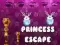 Spel Prinses Ontsnap aanlyn