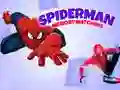 Spel Spiderman geheue speletjie aanlyn