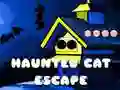 Spel Ontvlugting van die Haunted Kat aanlyn Spel Ontvlugting van die Haunted Kat aanlyn
