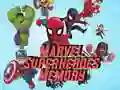 Spel Marvel Superhelde Geheue aanlyn