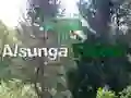 Spel Terug na Alsunga-woud aanlyn Spel Terug na Alsunga-woud aanlyn