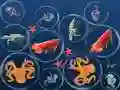 Spel Oseaan Vis Samesmelting aanlyn Spel Oseaan Vis Samesmelting aanlyn