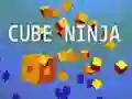 Spel Kubus Ninja aanlyn