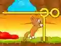 Spel Red die Katjie aanlyn Spel Red die Katjie aanlyn