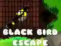 Spel Swart Voël Ontsnapping aanlyn Spel Swart Voël Ontsnapping aanlyn