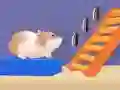 Spel Hamster Stap Labirint aanlyn Spel Hamster Stap Labirint aanlyn