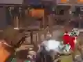 Spel Speelgoed Skutter: Jy teen Zombies aanlyn Spel Speelgoed Skutter: Jy teen Zombies aanlyn