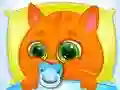 Spel Lieflike Virtuele Kat aanlyn