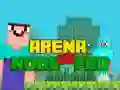 Spel Arena: Noob teen Pro aanlyn