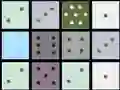 Spel Gooie Samesmelting aanlyn Spel Gooie Samesmelting aanlyn