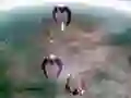 Spel Scape Shotter aanlyn Spel Scape Shotter aanlyn