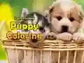 Spel Puppie Kleur aanlyn Spel Puppie Kleur aanlyn