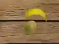 Spel Vrug Skiet aanlyn