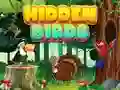 Spel Verborge Voëls aanlyn Spel Verborge Voëls aanlyn