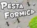Spel Miervreugde aanlyn Spel Miervreugde aanlyn