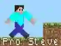 Spel Pro Steve aanlyn