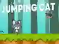 Spel Springende Kat aanlyn Spel Springende Kat aanlyn