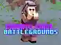 Spel Privaatske Pixel Slagvelde aanlyn Spel Privaatske Pixel Slagvelde aanlyn