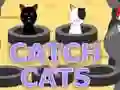 Spel Vang Katte aanlyn Spel Vang Katte aanlyn