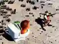 Spel TopDown Skibidi Toilet Skiet aanlyn Spel TopDown Skibidi Toilet Skiet aanlyn