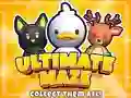 Spel Uiteindelike Labirint! Versamel hulle alles! aanlyn Spel Uiteindelike Labirint! Versamel hulle alles! aanlyn