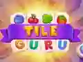 Spel Tegel Guru aanlyn