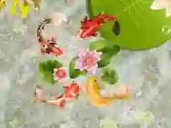 Spel Koi-visvijver aanlyn Spel Koi-visvijver aanlyn