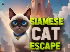 Spel Siamese Kat Ontsnapping aanlyn
