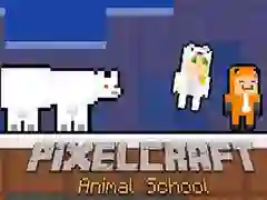 Spel PixelCraft Dier Skool aanlyn
